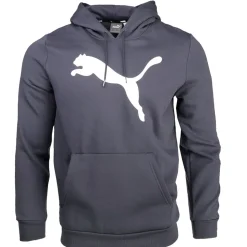 Big Cat Logo Pullover Hoodie
