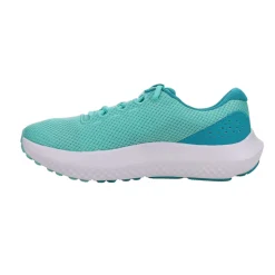 Charged Surge 4 Running Shoes