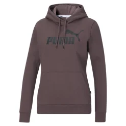 Essential Logo Pullover Hoodie