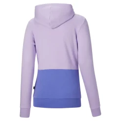 Essentials Colorblock Pullover Hoodie