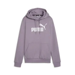 Essentials Graphic Pullover Hoodie
