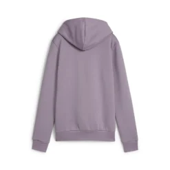 Essentials Graphic Pullover Hoodie