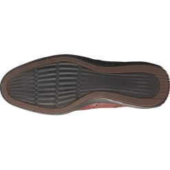 Grand Evolution Shortwing Oxford Wingtips Dress Shoes