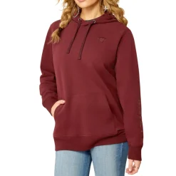 Logo 2.0 Pullover Hoodie