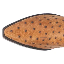 Outlaw Embroidered Ostrich Print Snip Toe Pull On Cowboy Boots